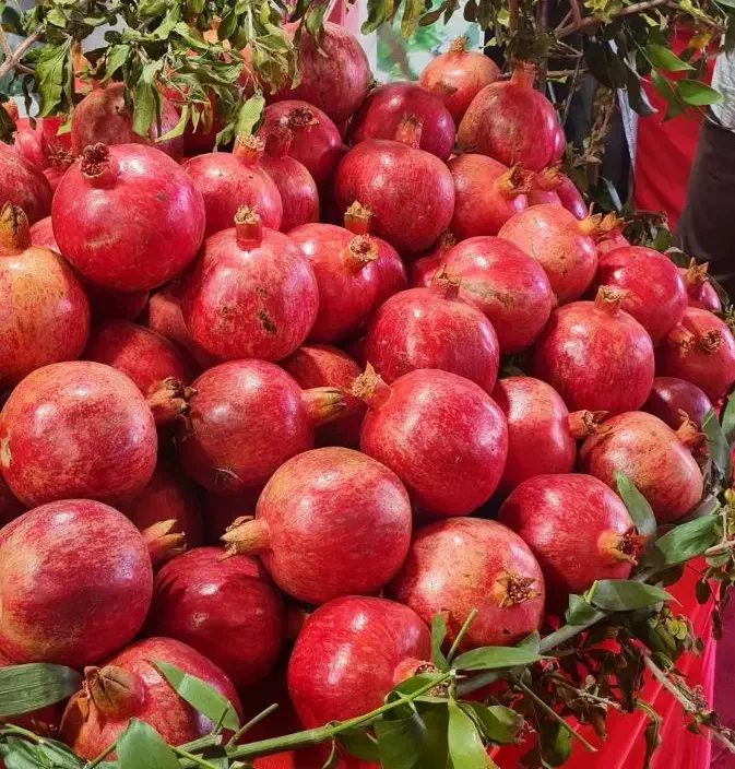 اجاره باغ انار|خدمات باغبانی و درختکاری|سیدان, |دیوار