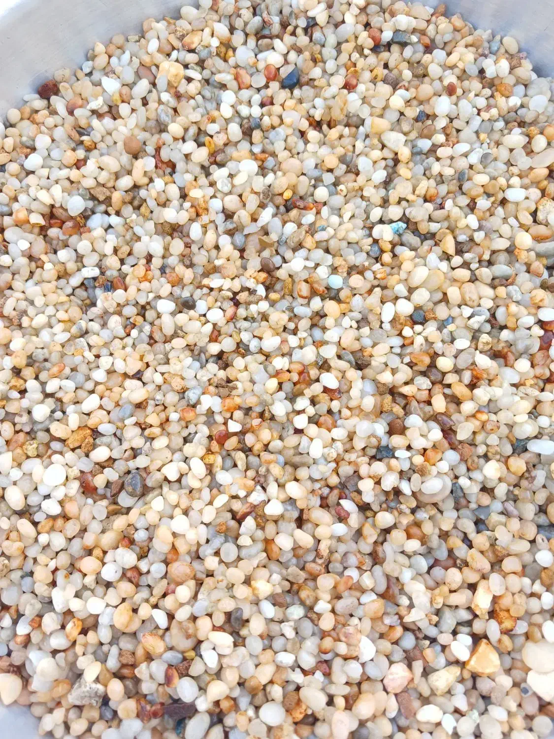 شن آکواریوم|ماهی|قم, صفائیه|دیوار