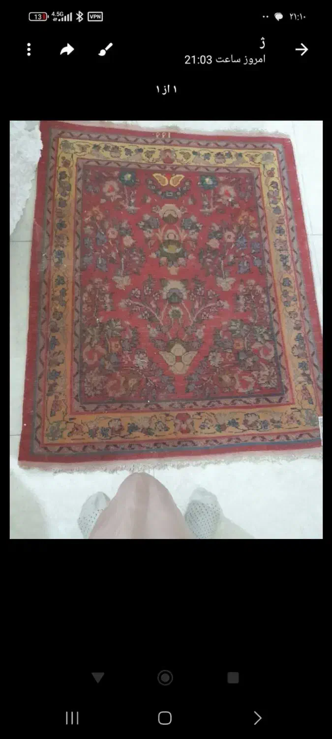 قالیچه سالم|فرش|تبریز, |دیوار