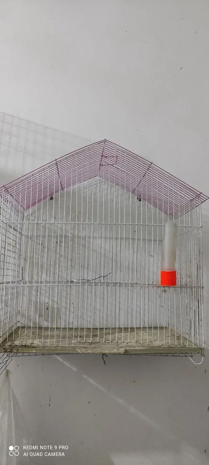 قفس طوطی برزیلی،راهب،فنچ،|لوازم جانبی حیوانات|سوسنگرد, |دیوار