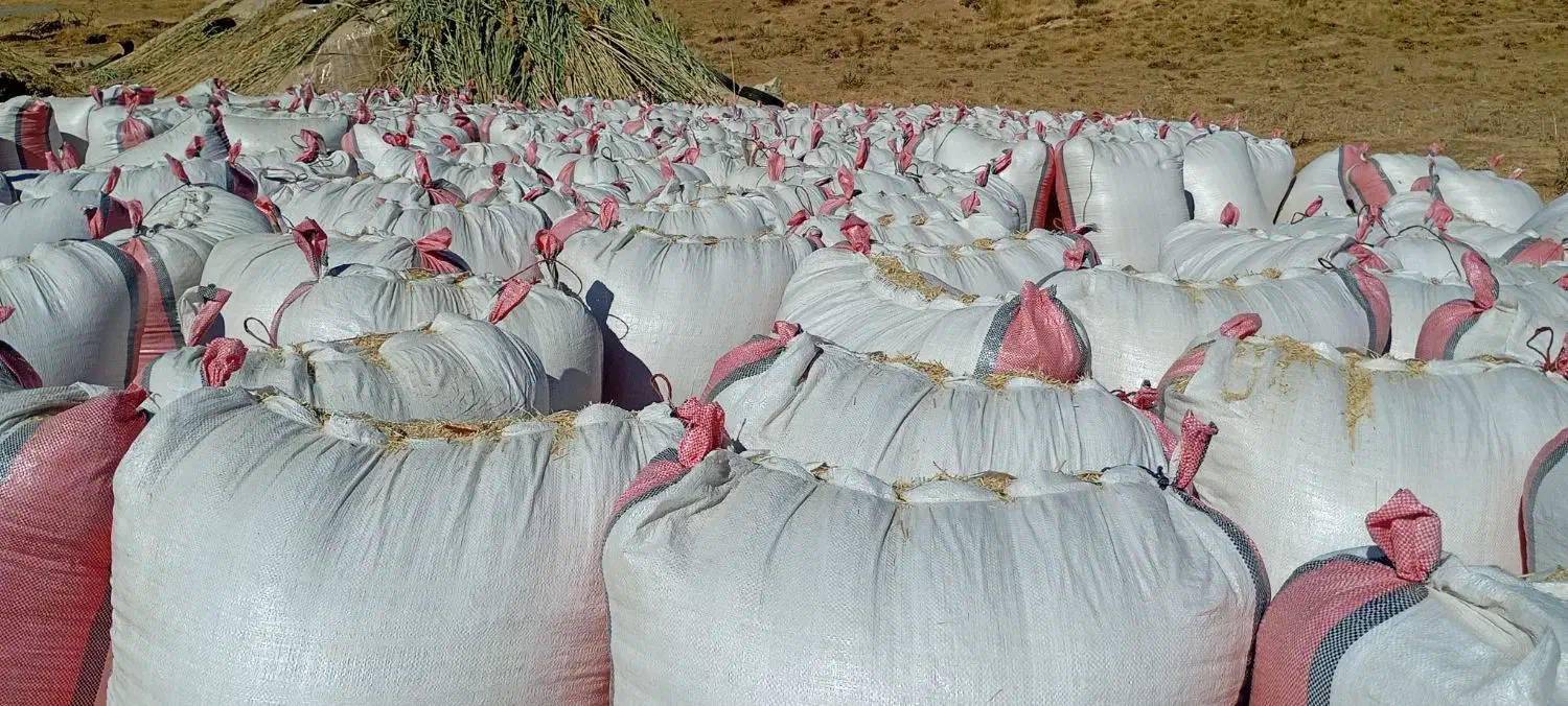 کاه و یونجه|عمده‌فروشی|رباط‌کریم, شهرک صنعتی زواره‌ای|دیوار