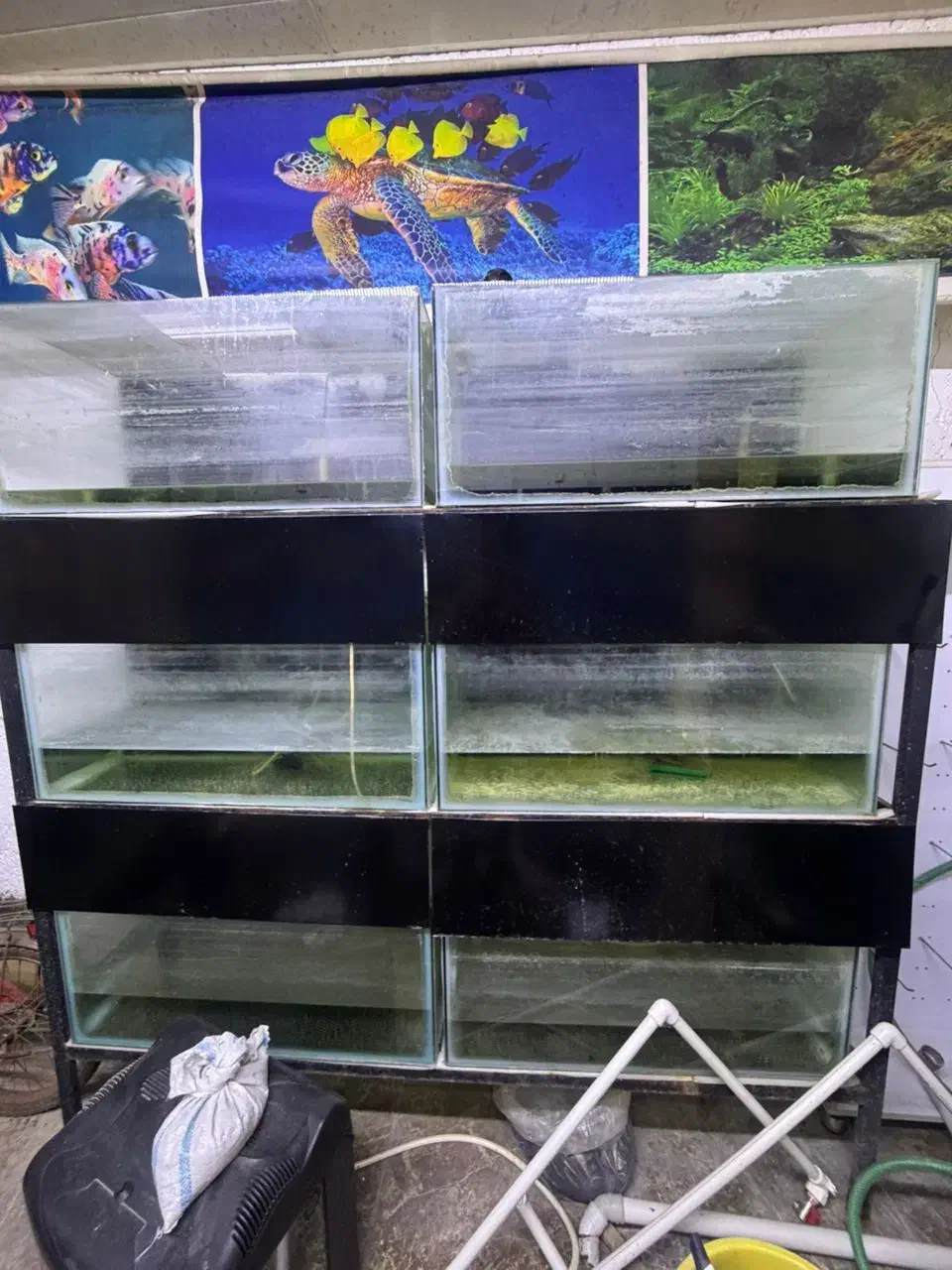 اکواریوم به همراه پایه|ماهی|ساری, |دیوار