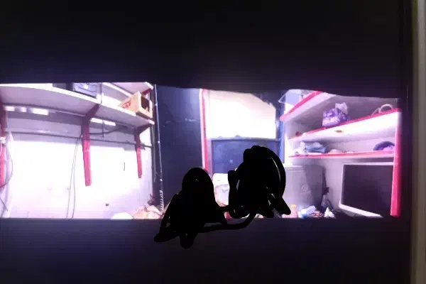 دکه|فروشگاه و مغازه|سراوان, |دیوار