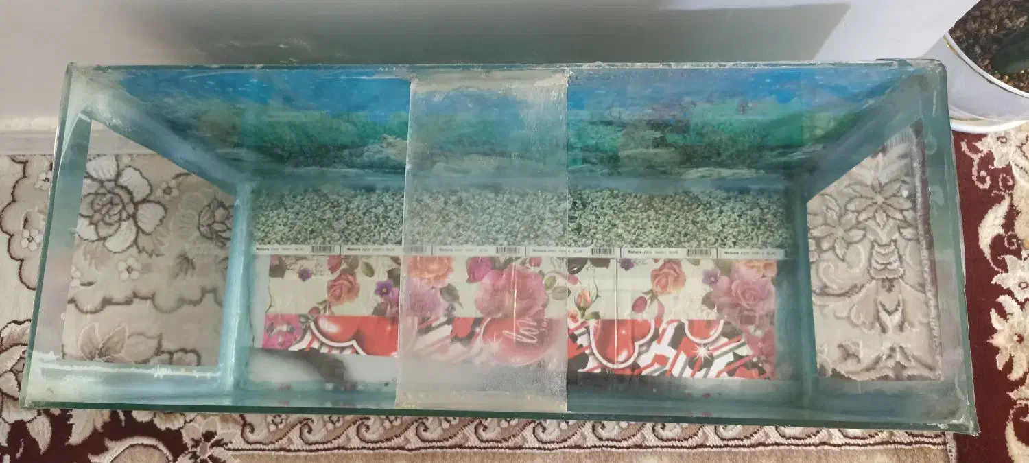 آکواریوم|ماهی|بهارستان, |دیوار
