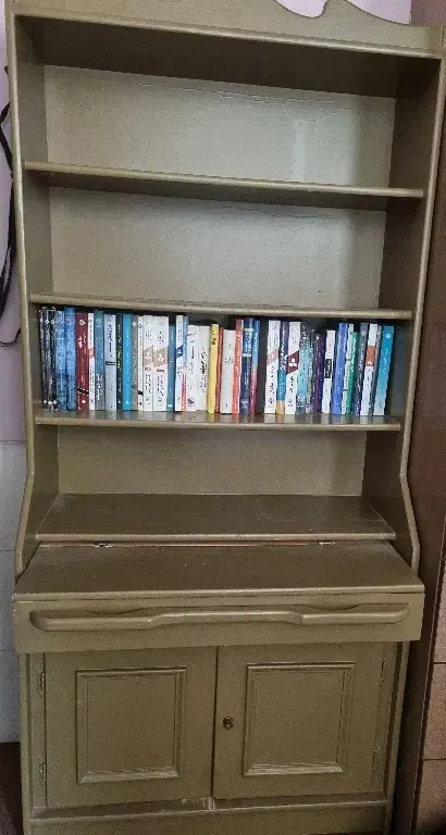کتابخانه|کتابخانه، شلف، قفسه‌های دیواری|شیراز, احمدی جنوبی|دیوار