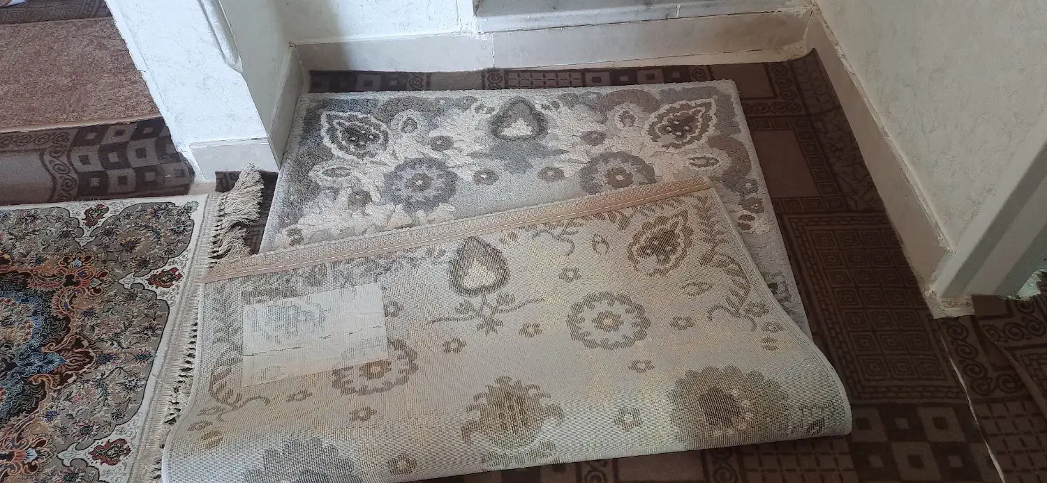 گلیم فرش|گلیم، جاجیم، گبه|قم, پردیسان|دیوار