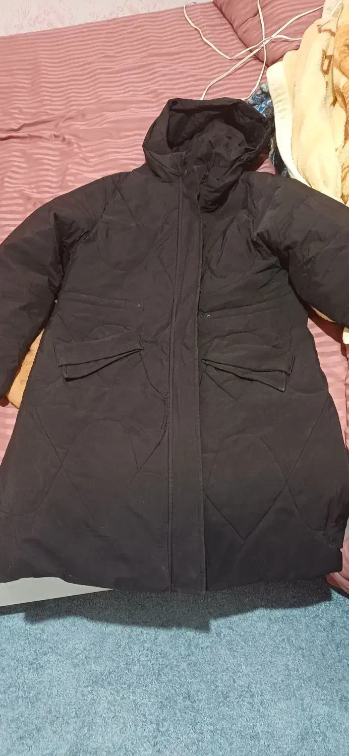 کاپشن|لباس|بجنورد, |دیوار