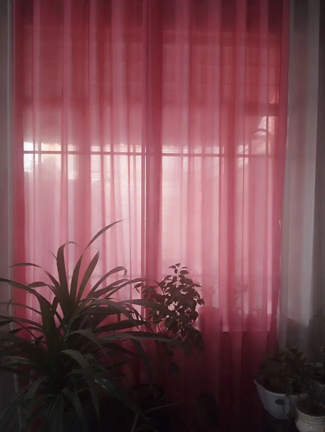 پرده پذیرایی|پرده، رانر، رومیزی|مشهد, کشف|دیوار