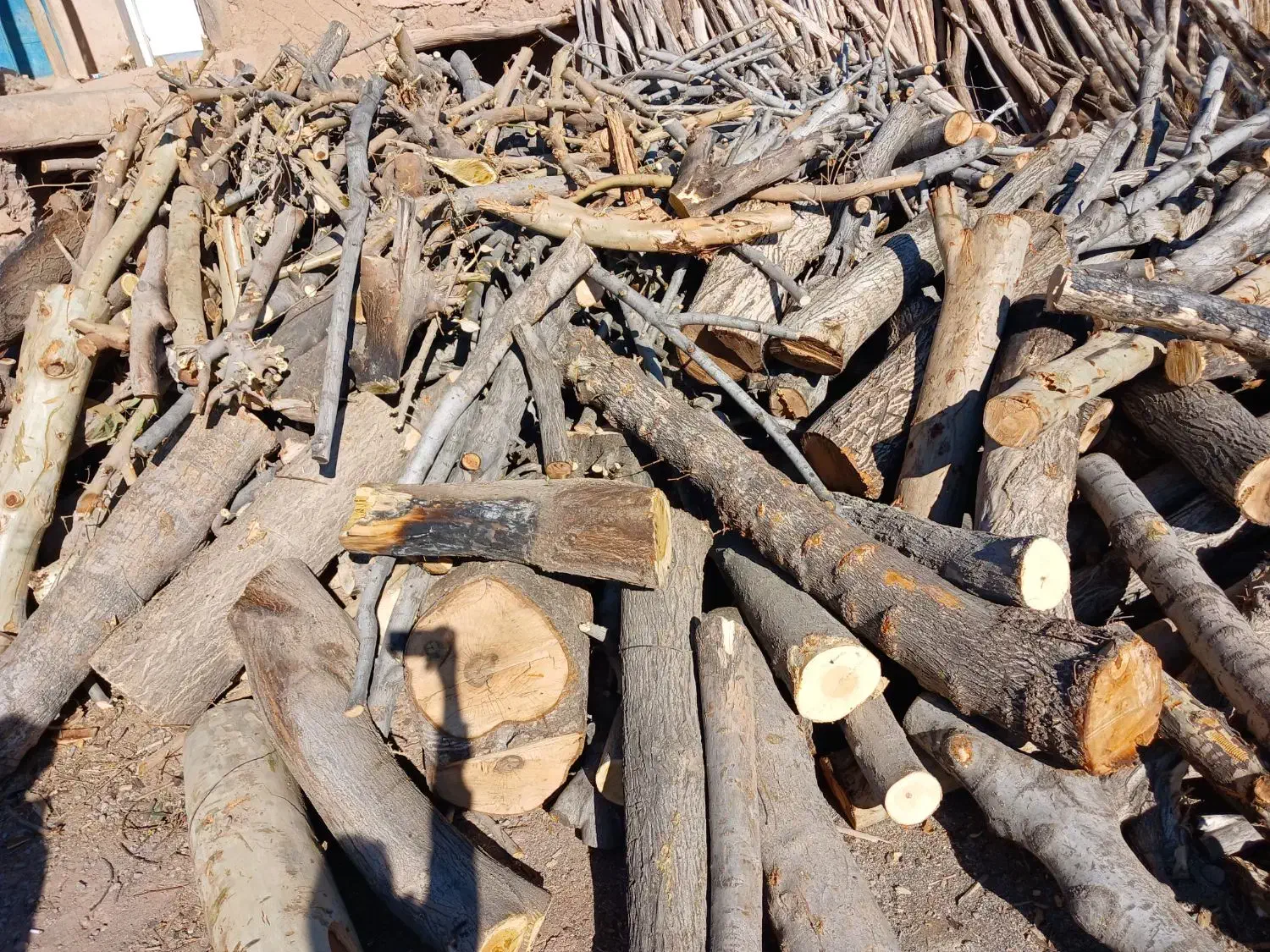 خریدار چوب درختان و چوب های سقفی|خدمات باغبانی و درختکاری|لردگان, |دیوار