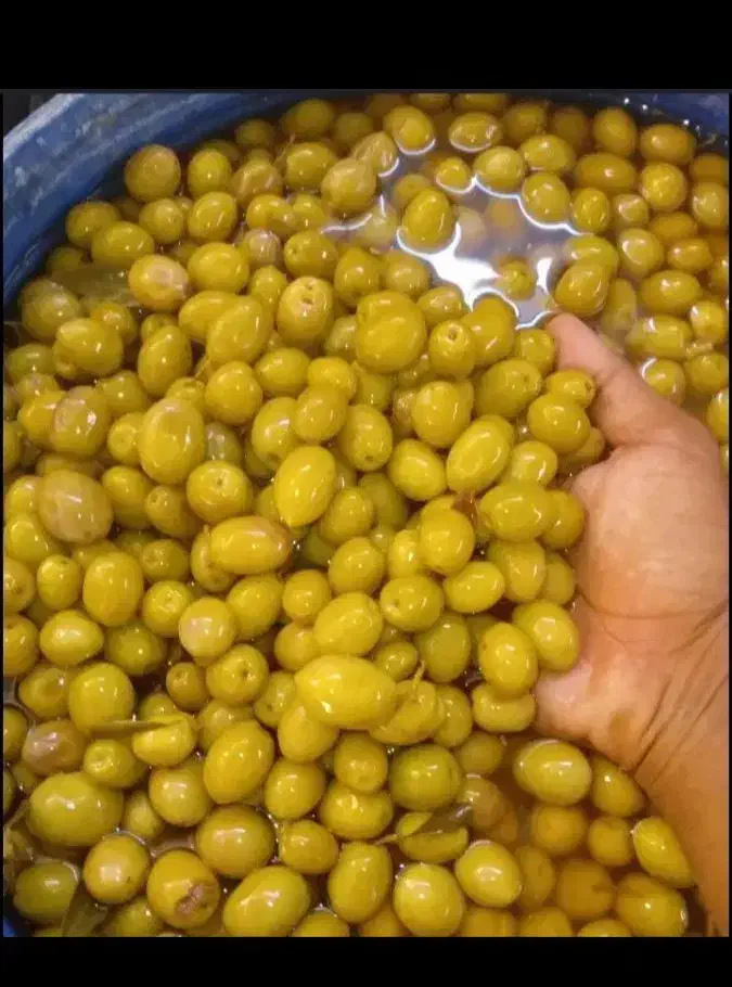 پخش عمده زیتون عمده وجزیی|خوردنی و آشامیدنی|سقز, |دیوار