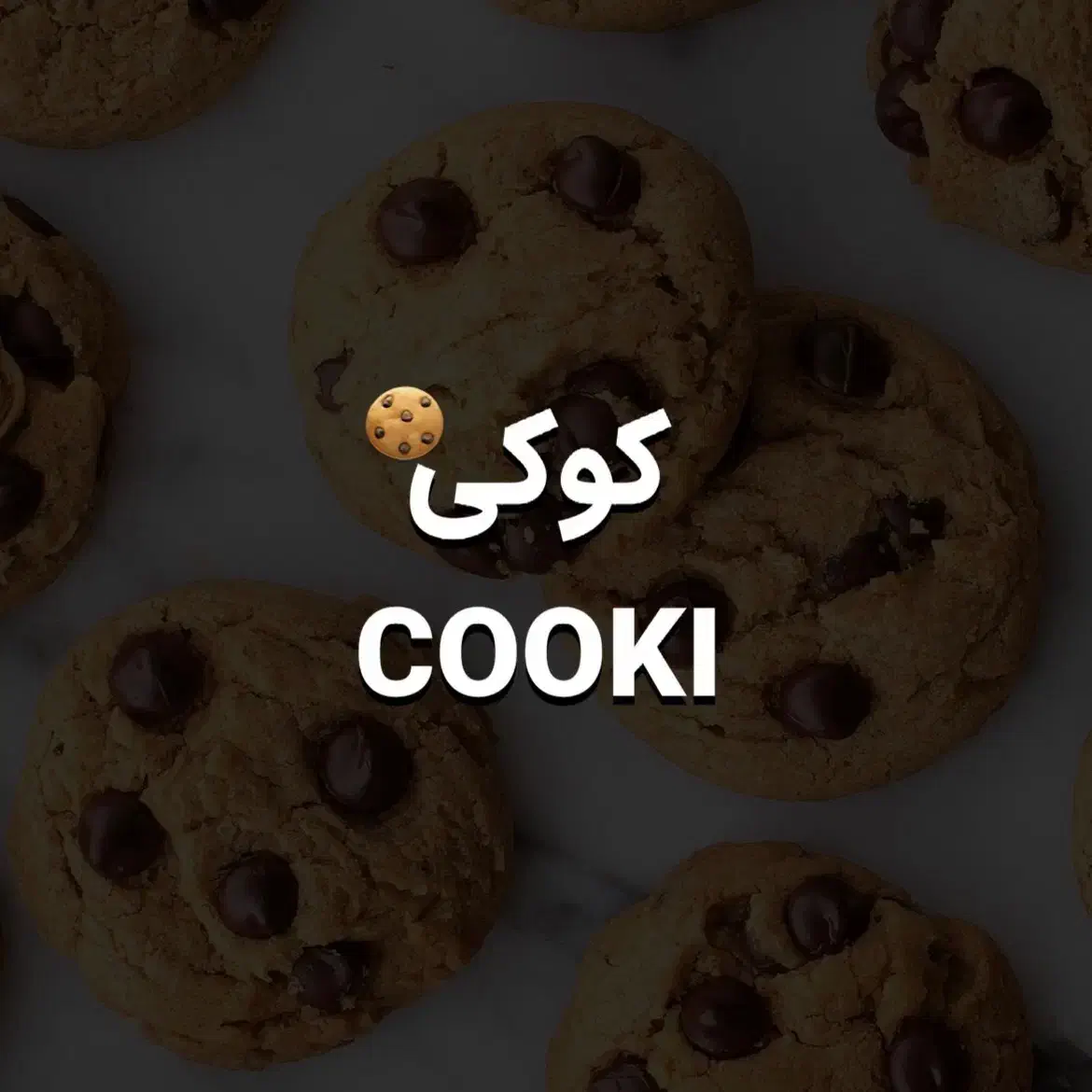 دامنه اینترنتی کوکی cooki|قطعات و لوازم جانبی رایانه|تهران, قیطریه|دیوار