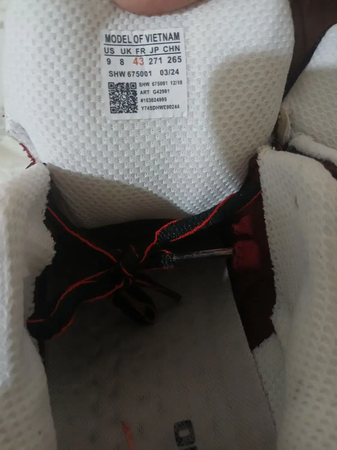 کفش|کیف، کفش، کمربند|سنقر, |دیوار