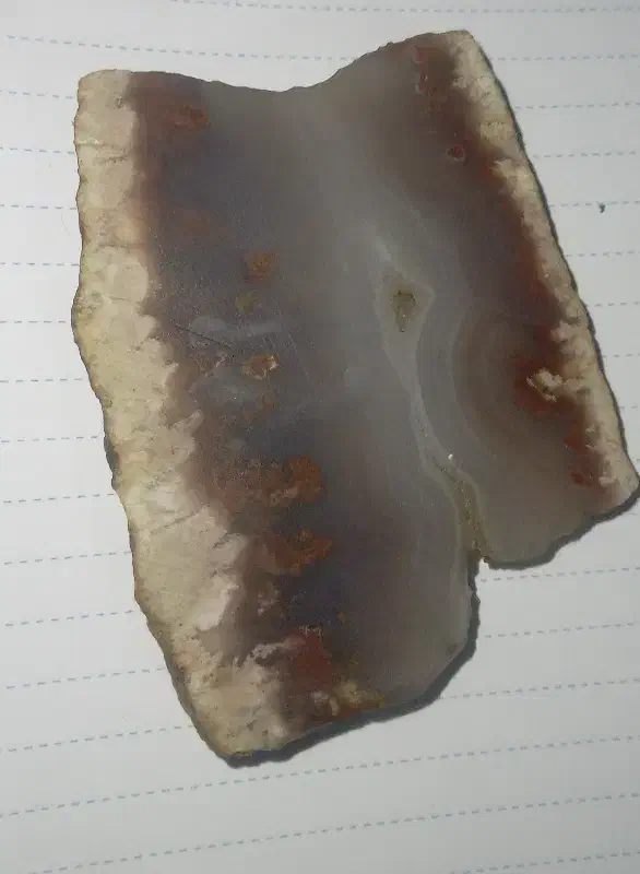 سنگ عقیق شجر سلیمانی اصل یک میلیون مقطوع|کلکسیون اشیاء عتیقه|شیراز, بازار|دیوار