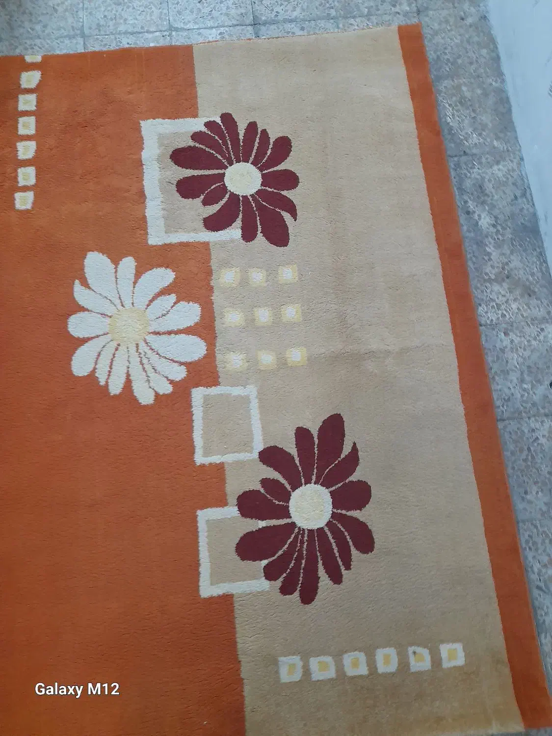 پالاز موکت(هالی)|موکت|تبریز, |دیوار