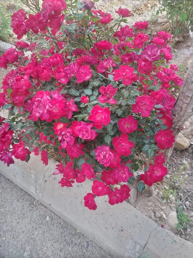 ۱۲۳متر سبلان شمالی|فروش آپارتمان|تهران, وحیدیه|دیوار