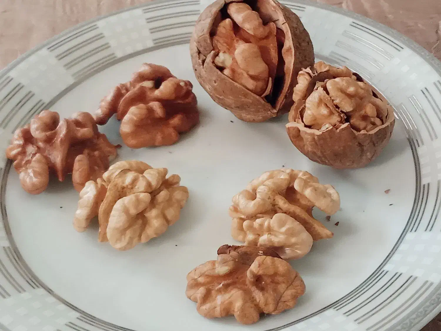 گردو|خوردنی و آشامیدنی|قم, چهل اختران|دیوار