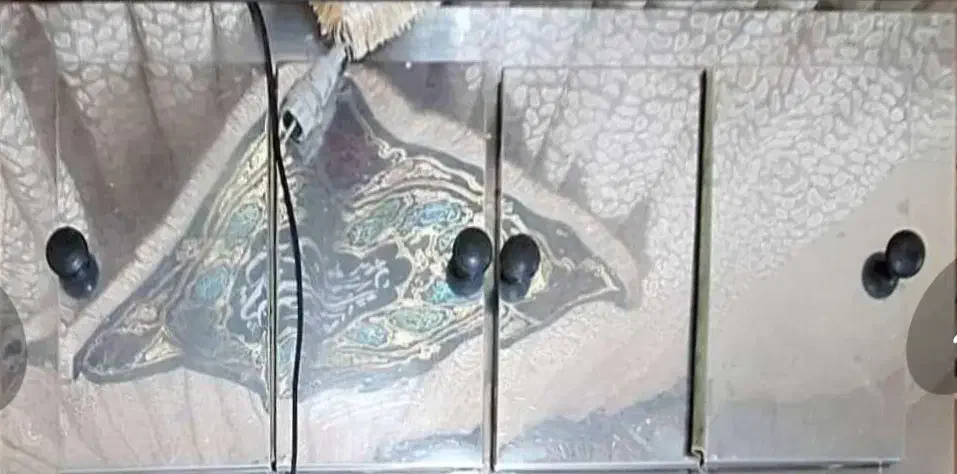 فریزر صندوقی|یخچال و فریزر|ایذه, |دیوار