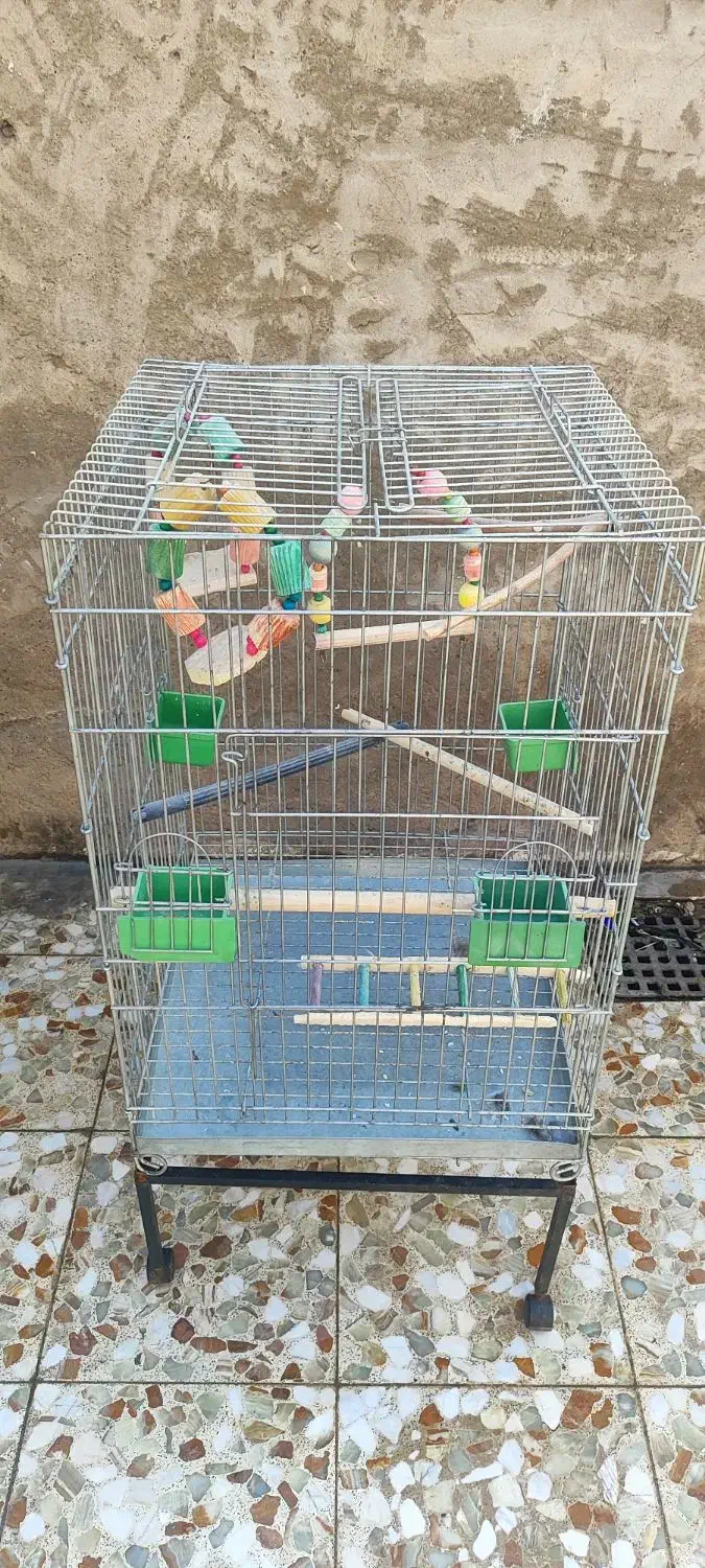 قفس پرنده|لوازم جانبی حیوانات|اهواز, اسماعیلیه|دیوار