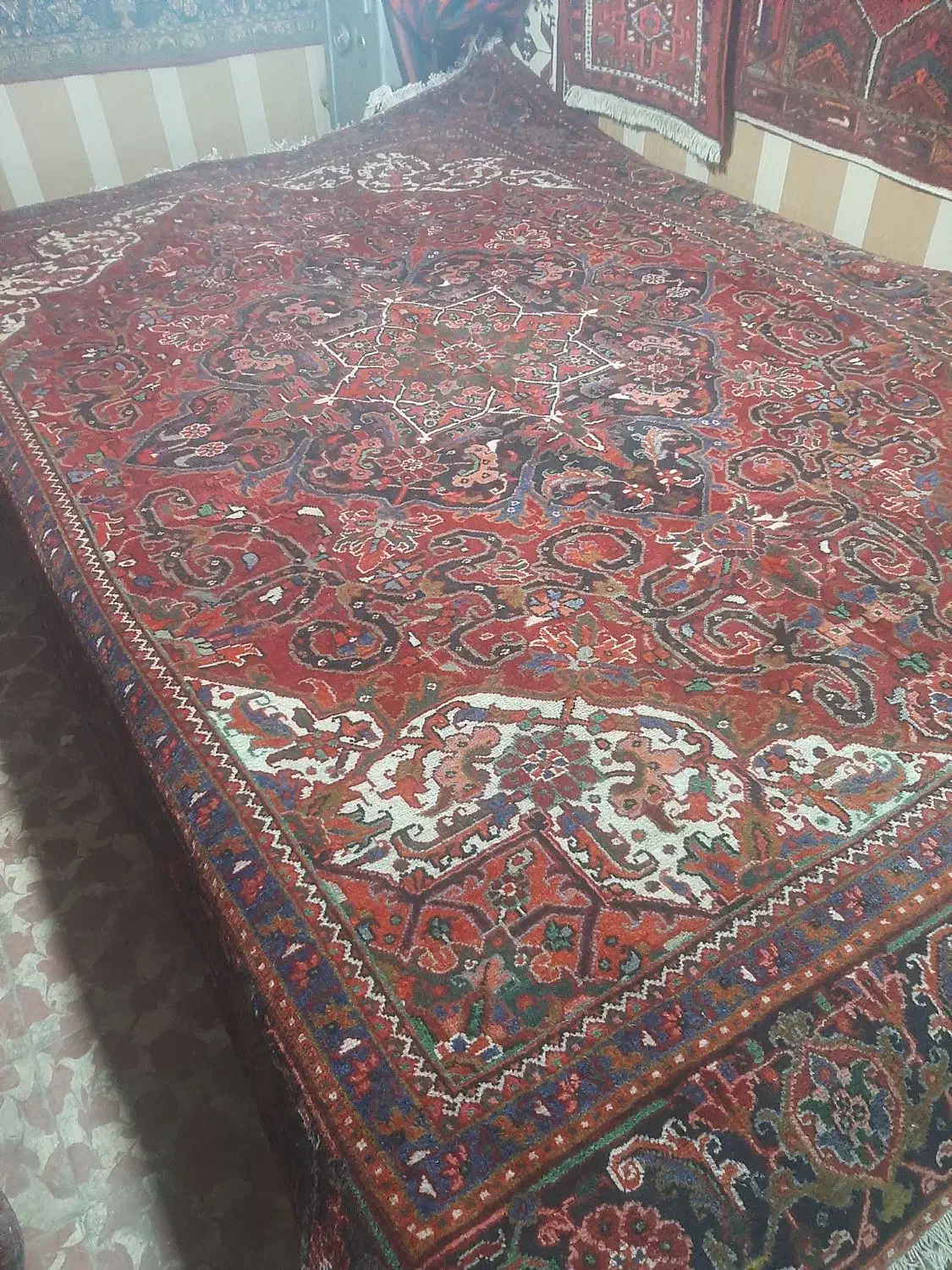 ۹متری شربیان|فرش|مراغه, |دیوار