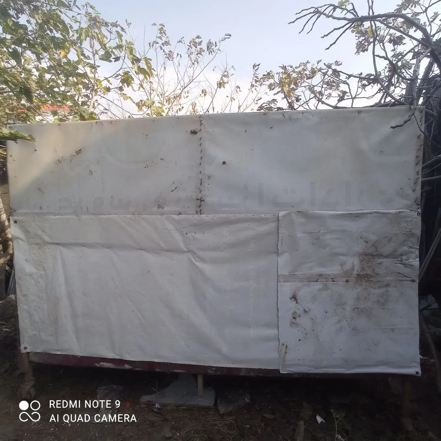 قفس بزرگ|لوازم جانبی حیوانات|بندر انزلی, نیمه شعبان|دیوار