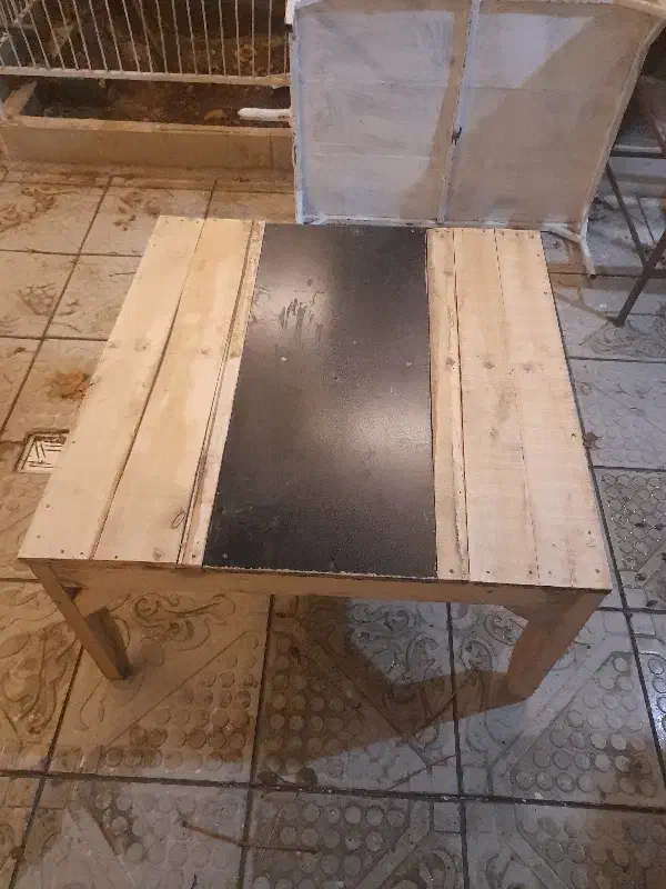 کرسی|مبلمان خانگی و میز عسلی|ارومیه, |دیوار