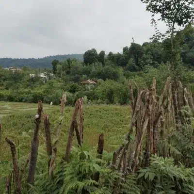 جویای کار هستم|خدمات پیشه و مهارت|فردوس (خراسان), |دیوار