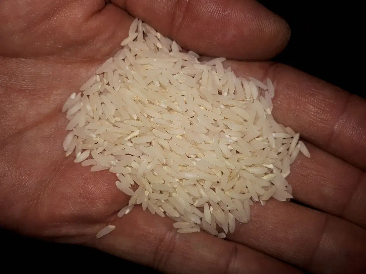 برنج هاشمی ایرانی به شرط|خوردنی و آشامیدنی|تهران, نارمک جنوبی|دیوار