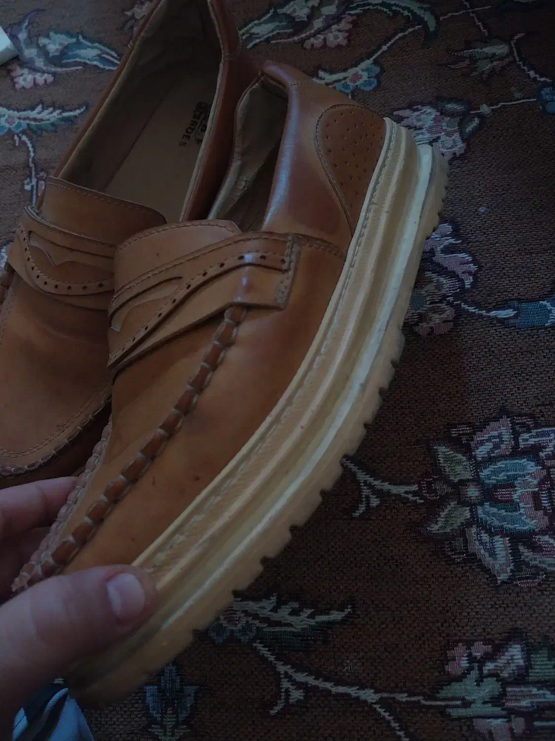 کالج|کیف، کفش، کمربند|میناب, |دیوار