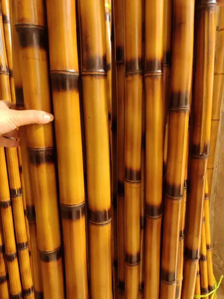 bamboo بامبو|صنایع دستی و سایر لوازم تزئینی|تهران, هفده شهریور|دیوار