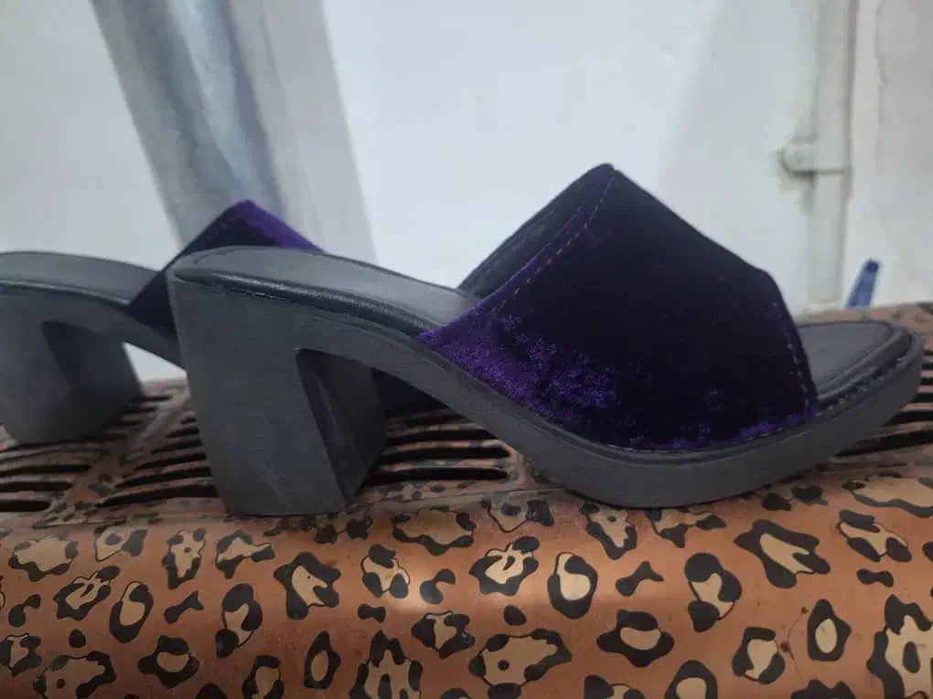 صندل|کیف، کفش، کمربند|لردگان, |دیوار