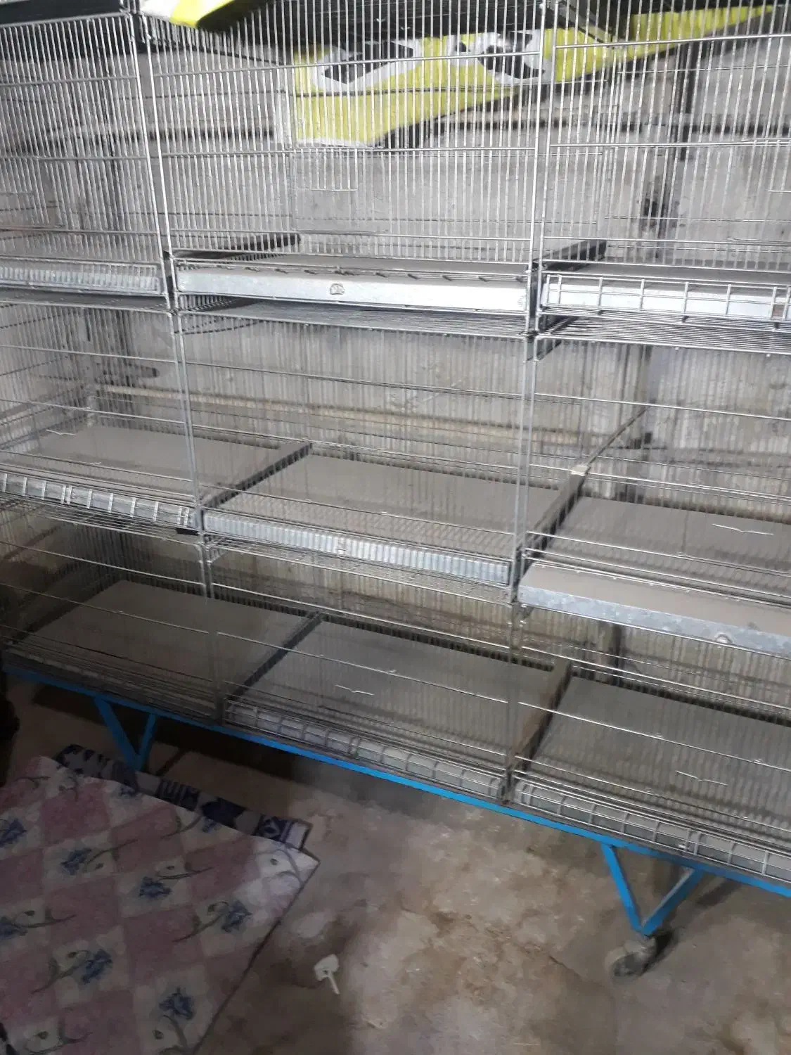 قفس ۶ خان‌ و ۹ خان غلامی،گنجه چوبی و آبدونی|لوازم جانبی حیوانات|قم, ناصردیوان|دیوار