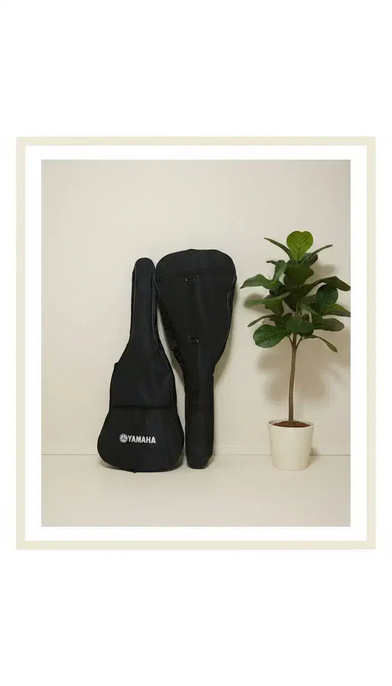 کاور انواع سازها|ویولن|کرج, کمال‌شهر|دیوار