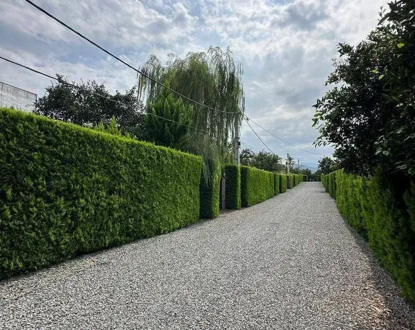 زمین شهرکی باچک.سندداربدون مشرف|فروش زمین و ملک کلنگی|خرمآباد (تنکابن), |دیوار