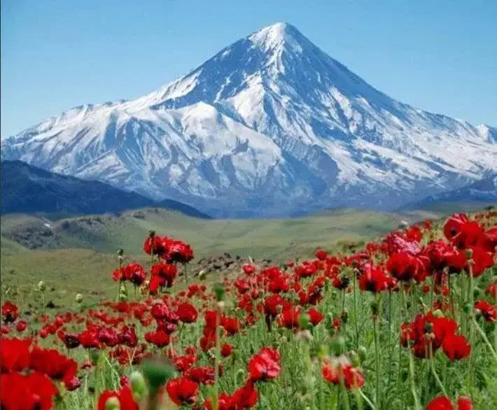 نمایندگی فروش کود های ارگانیک|استخدام بازاریابی و فروش|شهرکرد, |دیوار