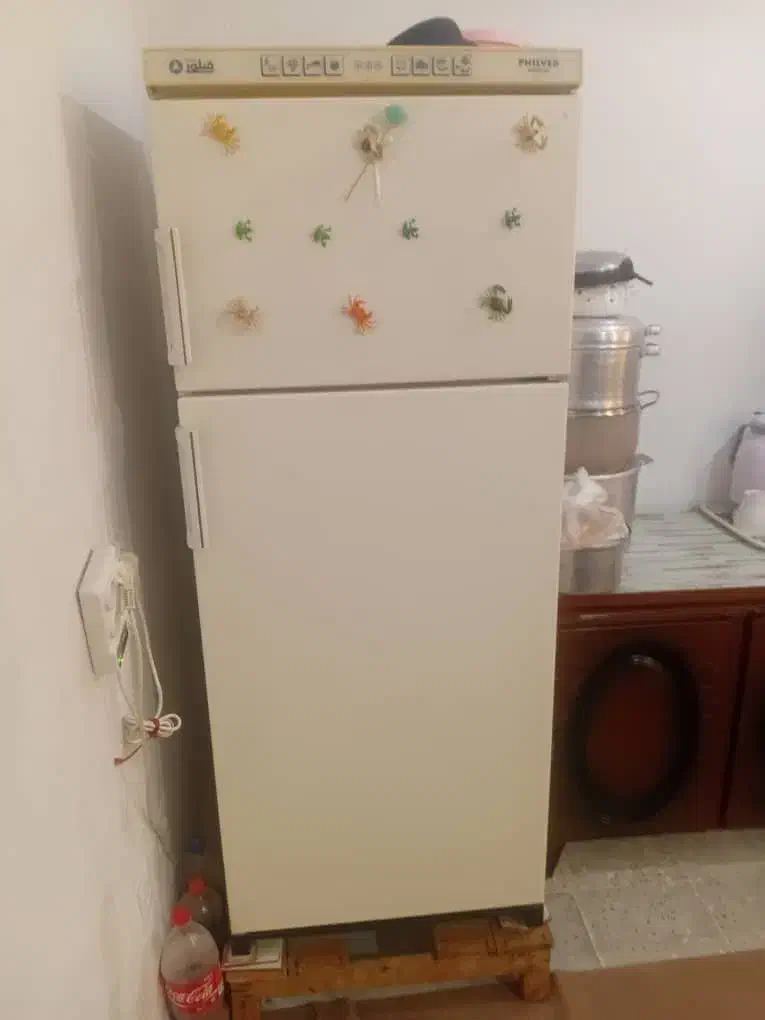 یخچال فیلور ۹ فوت|یخچال و فریزر|خشت, |دیوار