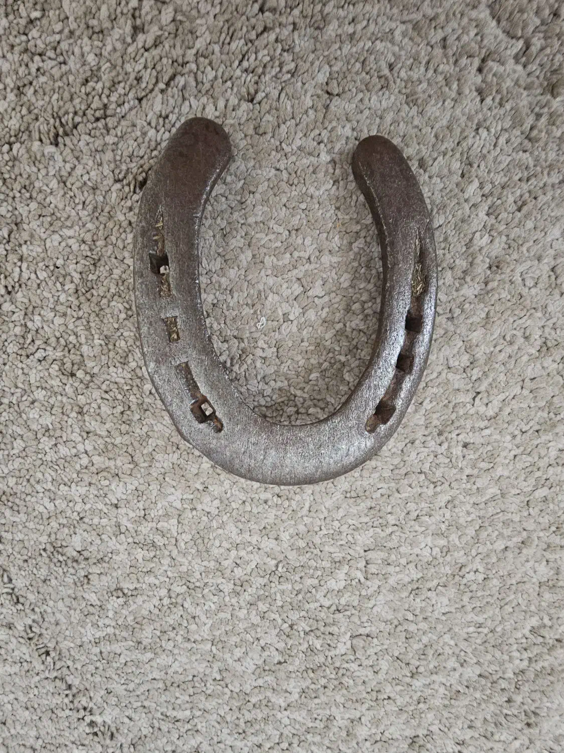 نعل اسب .|اسب و تجهیزات اسبسواری|قزوین, |دیوار