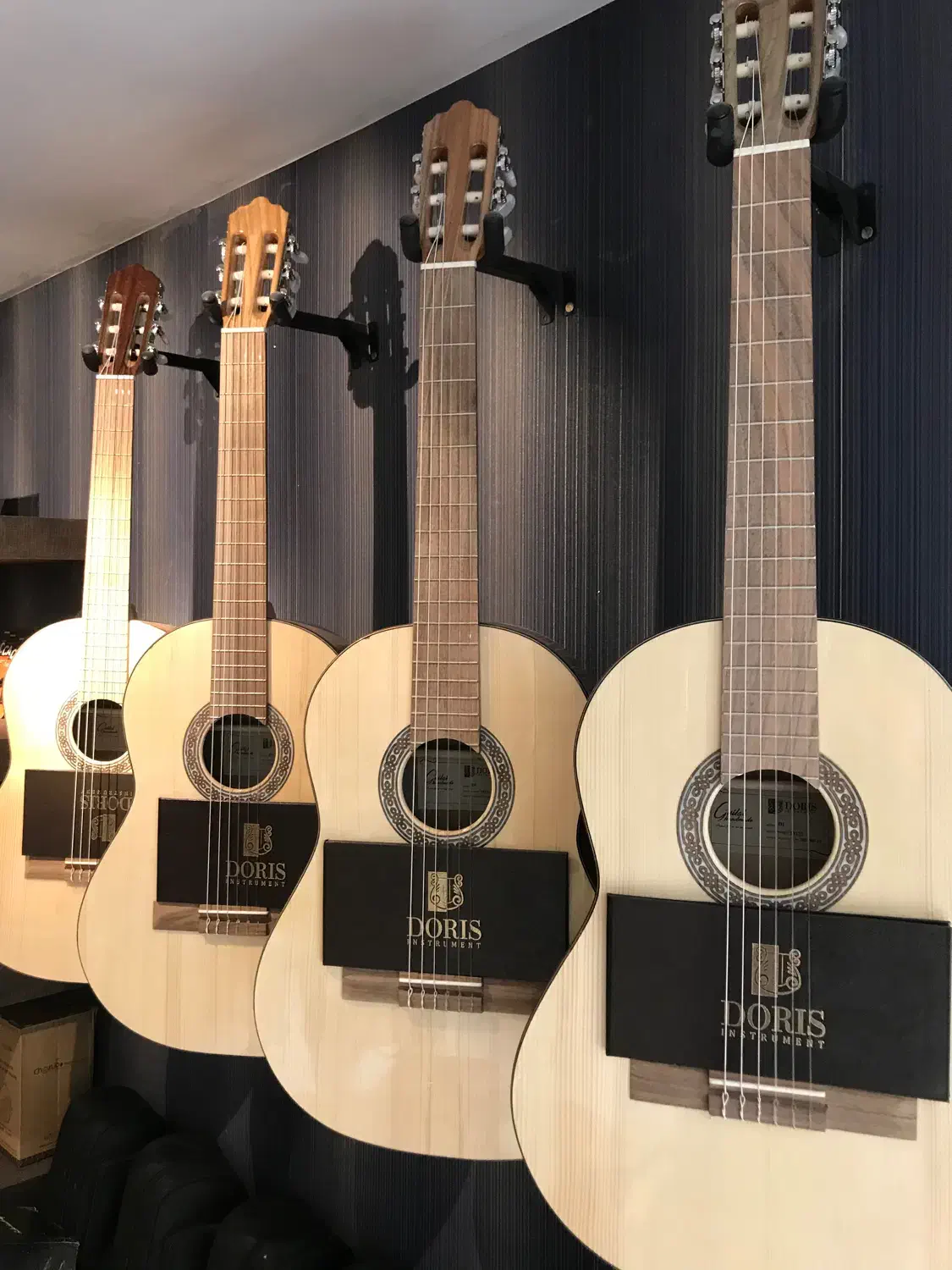 گیتار Doris|گیتار، بیس، امپلیفایر|اصفهان, باغ زرشک|دیوار