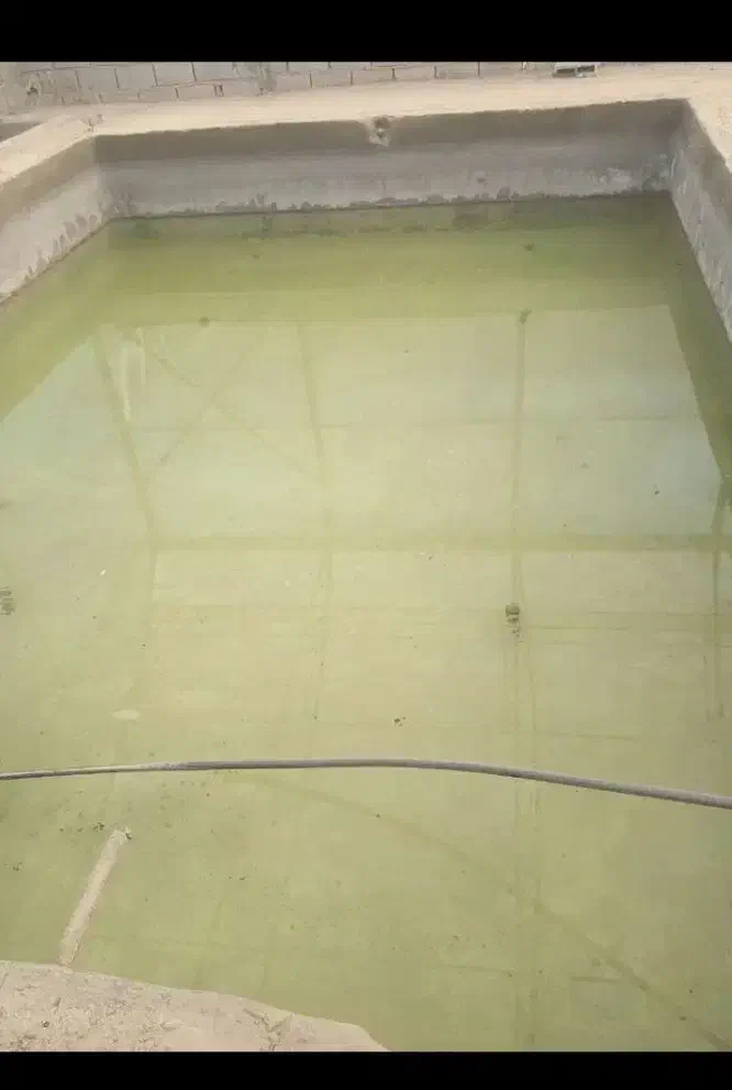 اجاره گلخانه دو سالن مجزا|اجارهٔ دفتر صنعتی، کشاورزی، تجاری|شهریار, دهشاد بالا|دیوار