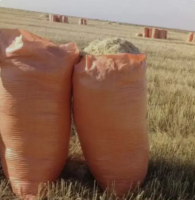 فروش محصولات کشاورزی|عمدهفروشی|دهدشت, |دیوار