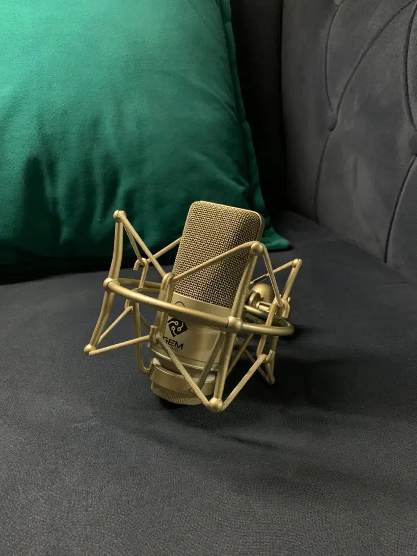 میکروفون کاندنسر استودیویی شرکت GEM|آلات موسیقی|رشت, گلزاران|دیوار