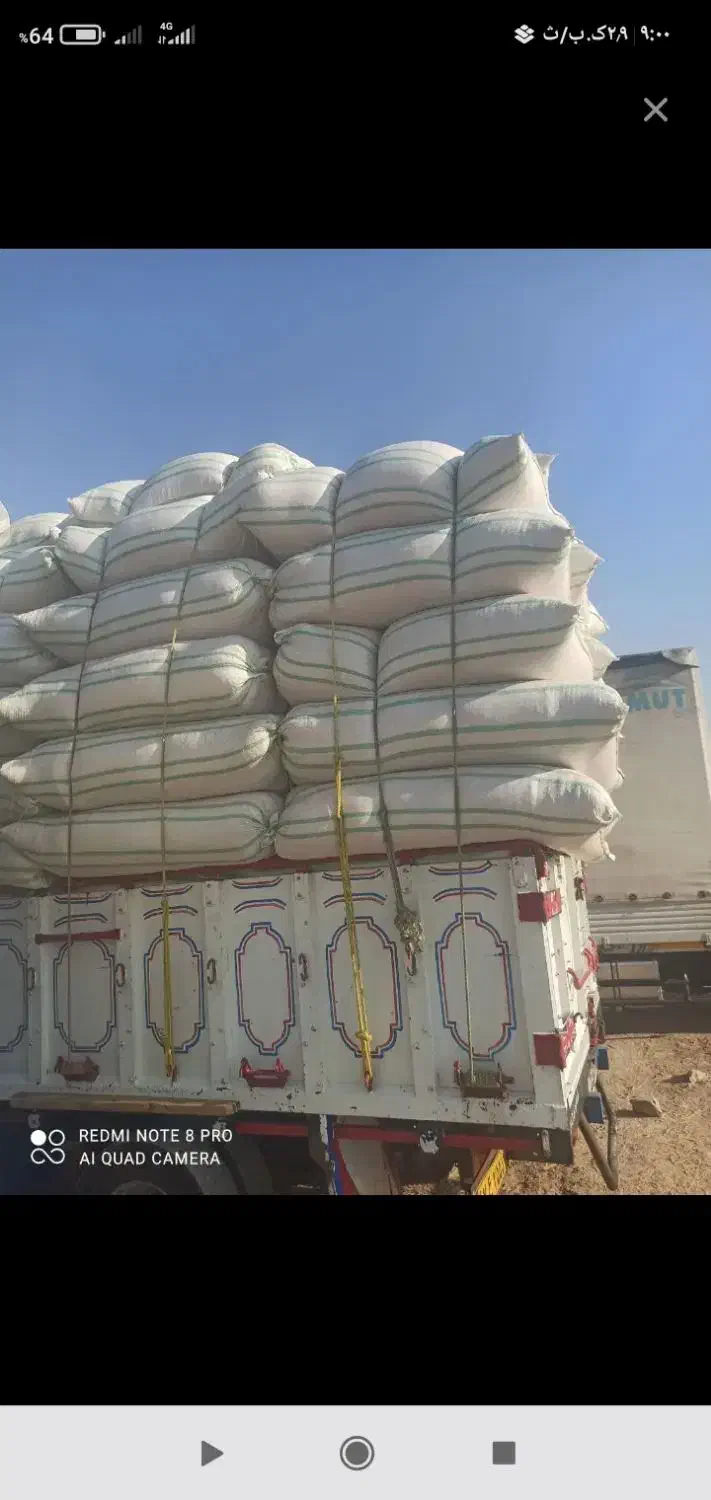 کاه دیم کردستان درجه یک|لوازم جانبی حیوانات|خمینی‌شهر, |دیوار