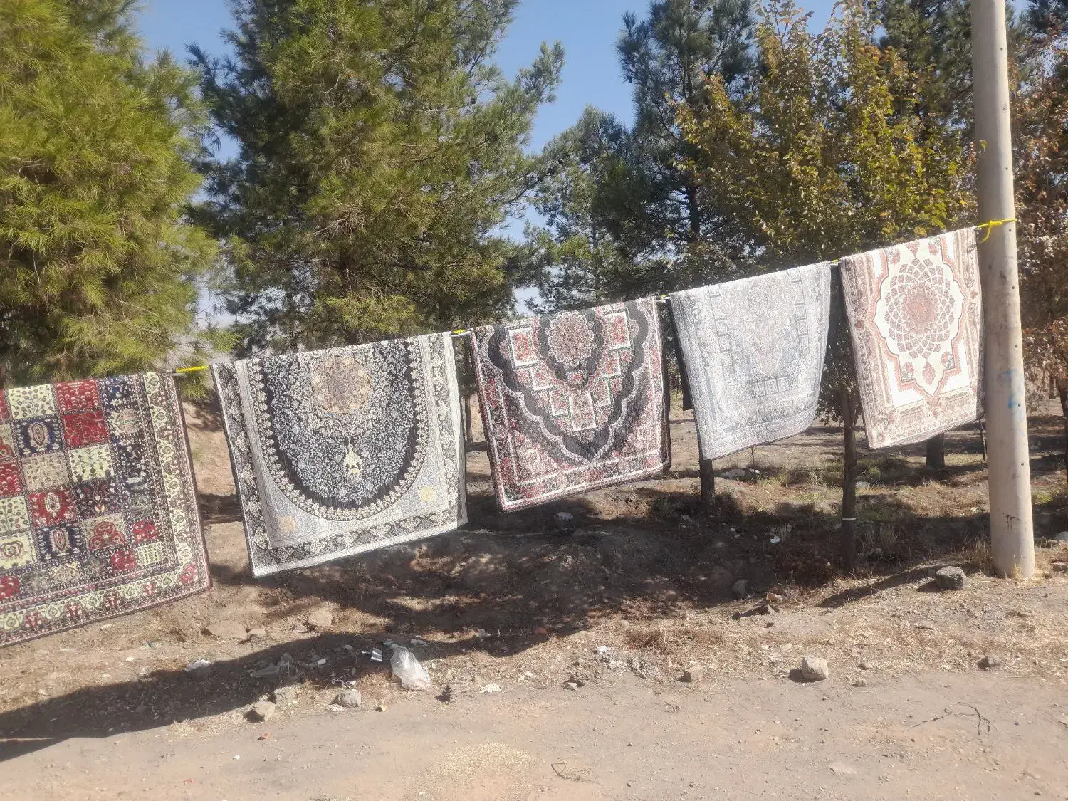 فروش قالیچه پشت نمدی|فرش|زرند, |دیوار