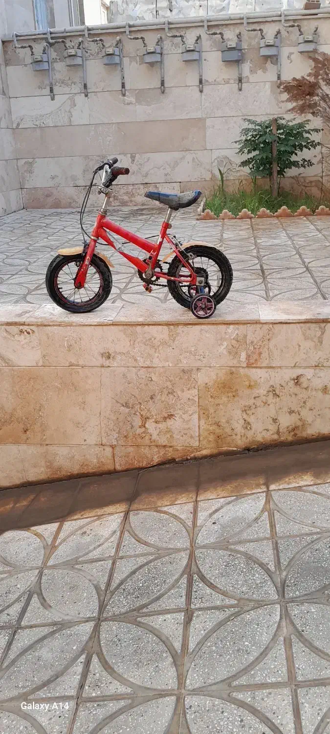 دوچرخه|دوچرخه، اسکیت، اسکوتر|پاکدشت, پاکدشت (مامازند)|دیوار