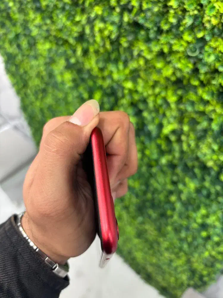 ایفون ۱۱ نرمال|موبایل|اهواز, گلستان|دیوار