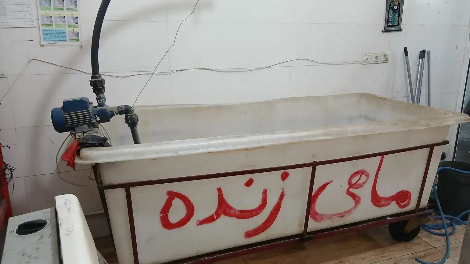 وان ماهی|ماهی|خرم‌آباد, |دیوار