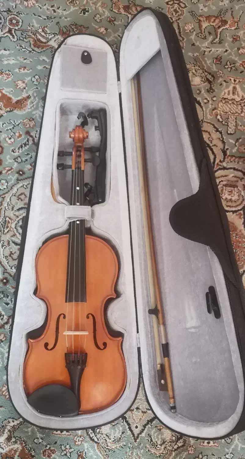 ویولن locto|ویولن|شیراز, سینما سعدی|دیوار