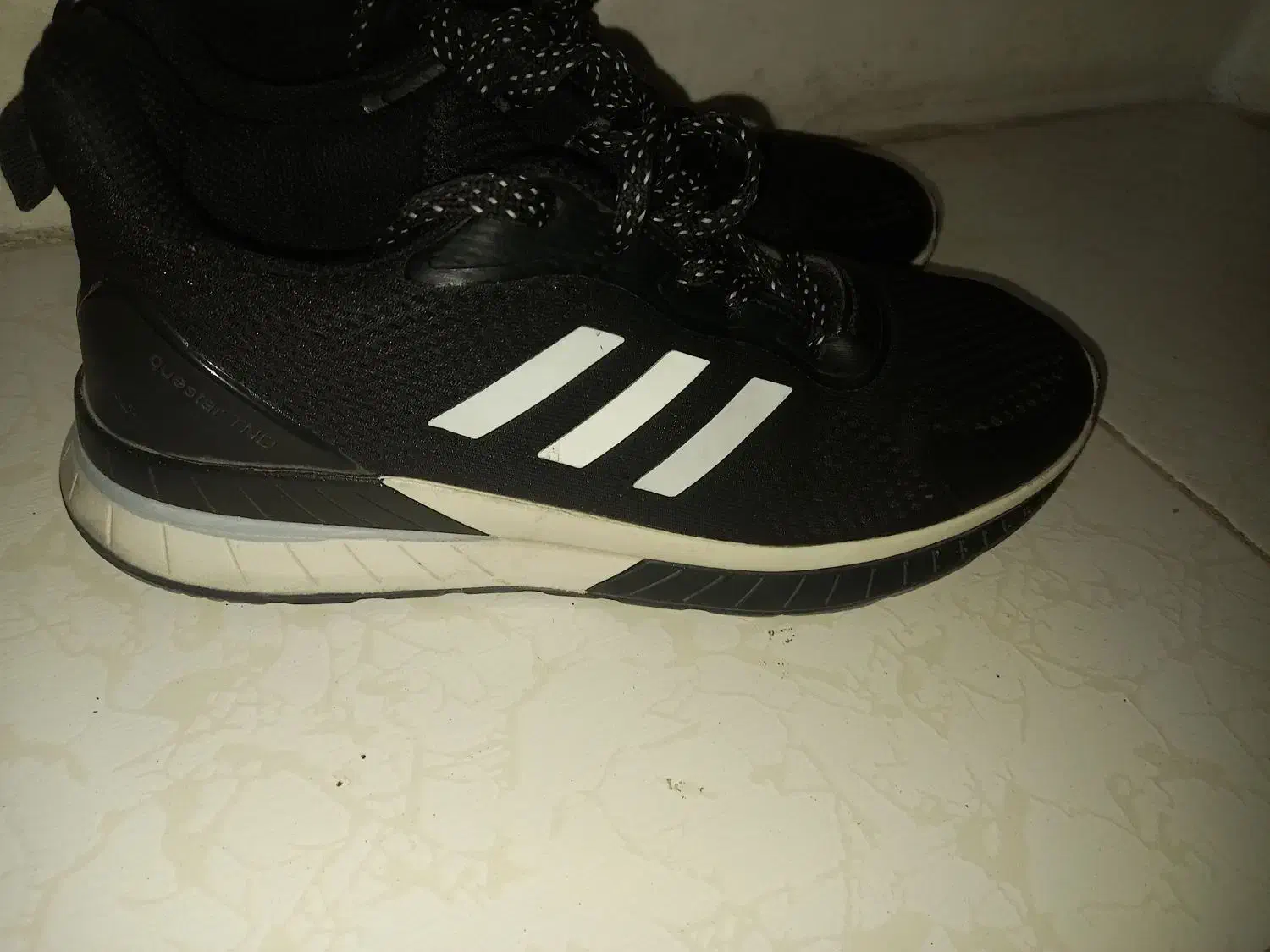 کفش چرم  و ورزشی مردانه|کیف، کفش، کمربند|بندرعباس, |دیوار