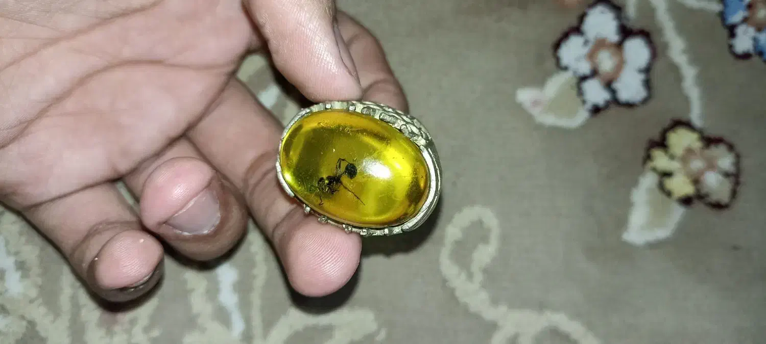 تعدادی انگشتر|کلکسیون اشیاء عتیقه|زاهدان, |دیوار