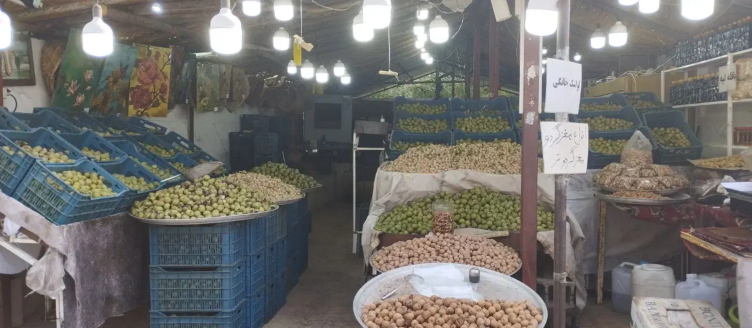 خریدار انواع انار و خرمالو|عمده‌فروشی|شیراز, قصرالدشت|دیوار