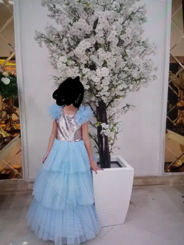 لباس عروس شیک|لباس|گلستان (تهران), |دیوار